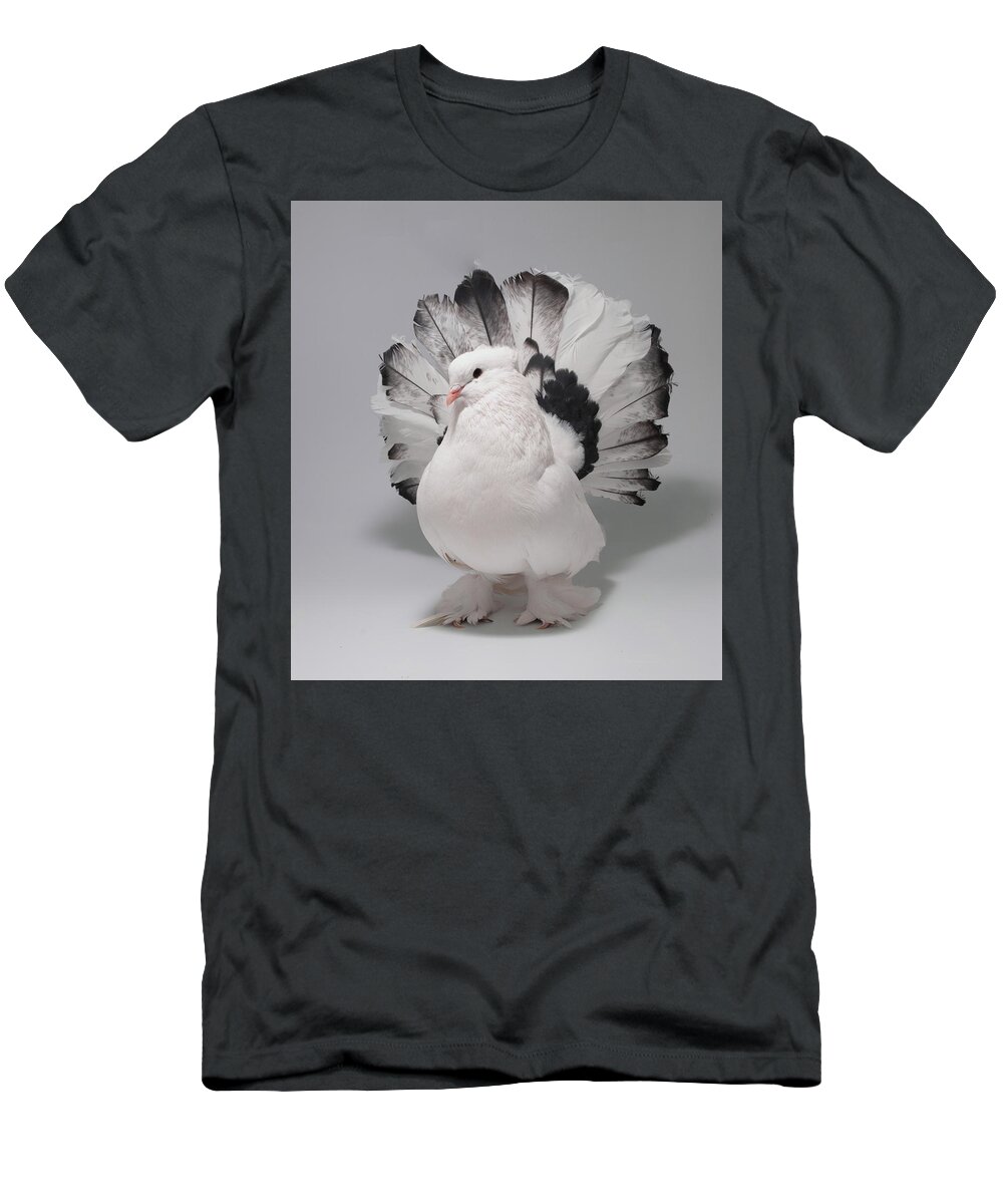 Pigeon T-Shirt featuring the photograph White and Black Indian Fantail Pigeon #1 by Nathan Abbott