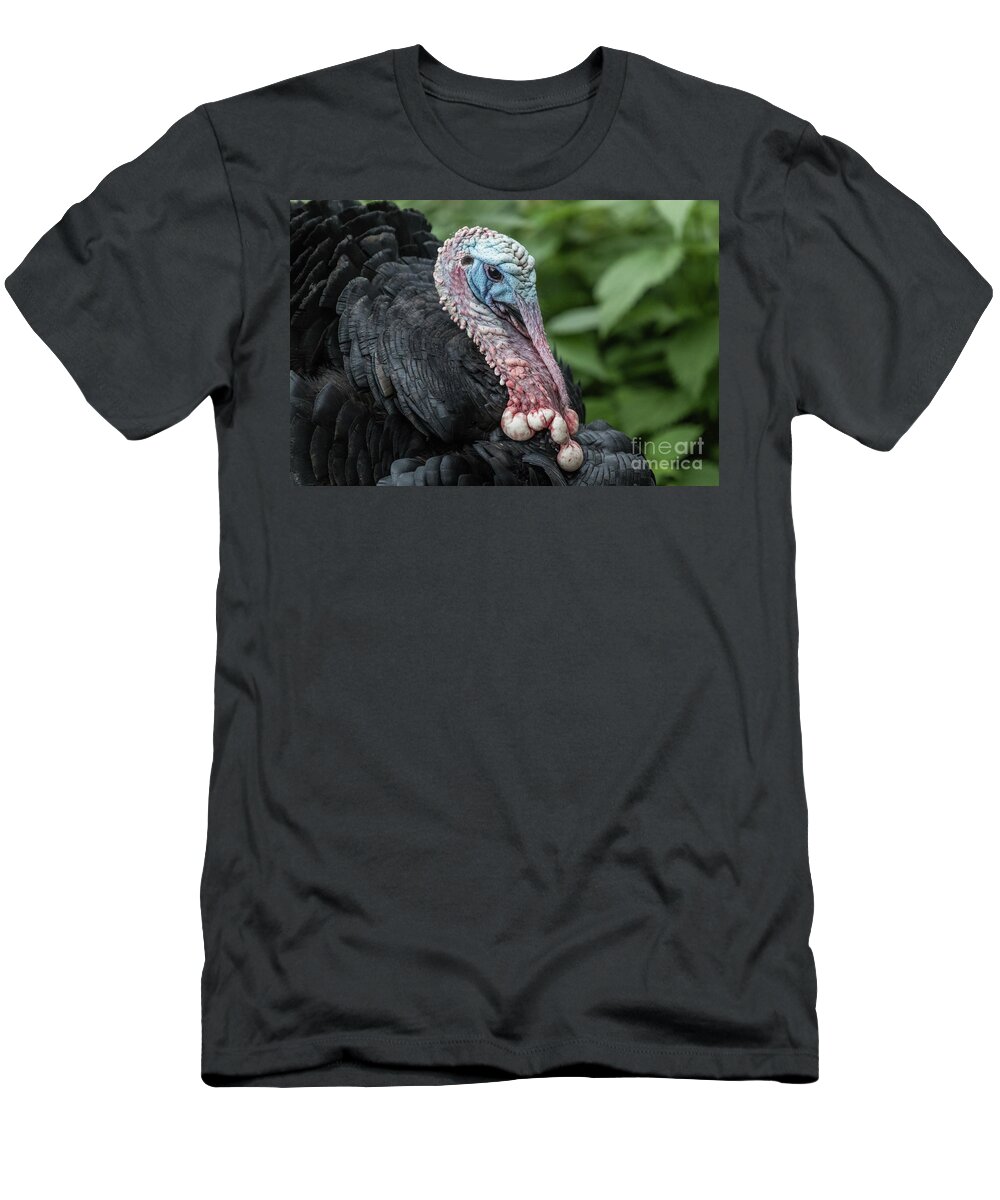Wild Turkey T-Shirt featuring the photograph Wild Turkey Portrait #1 by Eva Lechner