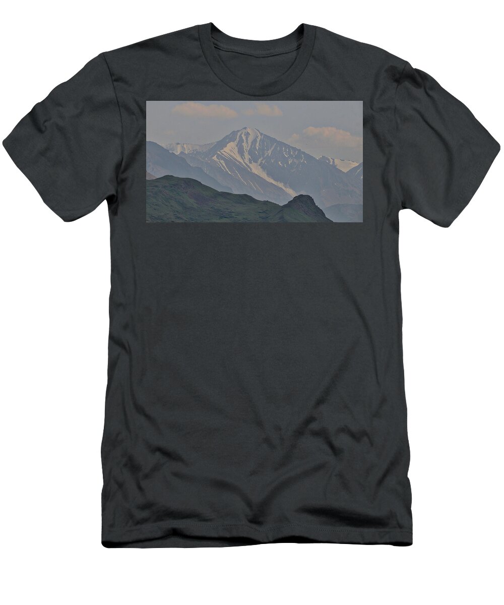Denali Np Alaska Usa T-Shirt featuring the photograph Denali NP Alaska USA #10 by Paul James Bannerman