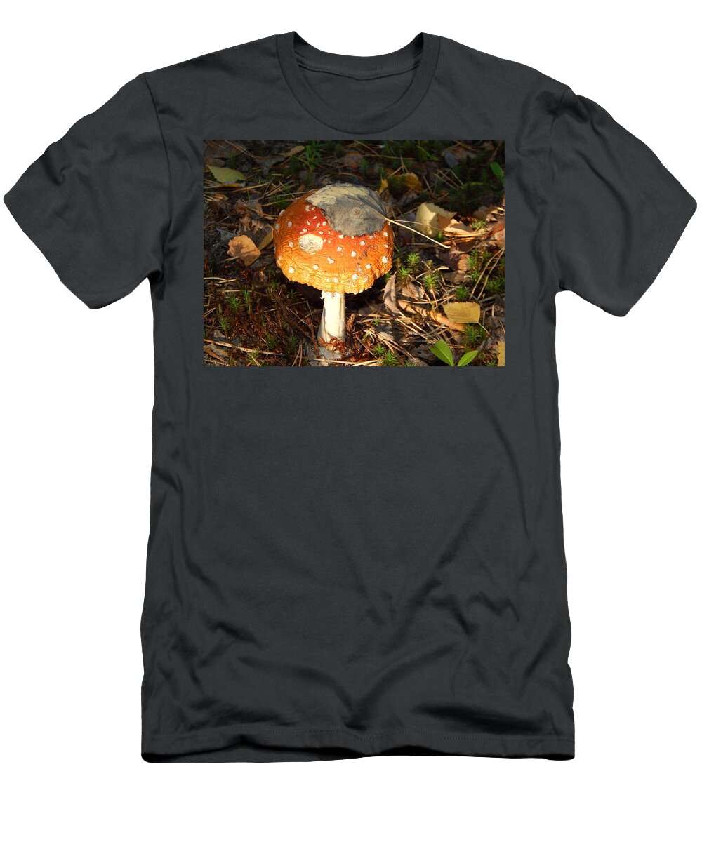 Amanita T-Shirt featuring the photograph Amanita mushrooms grown in the autumn forest #2 by Oleg Prokopenko
