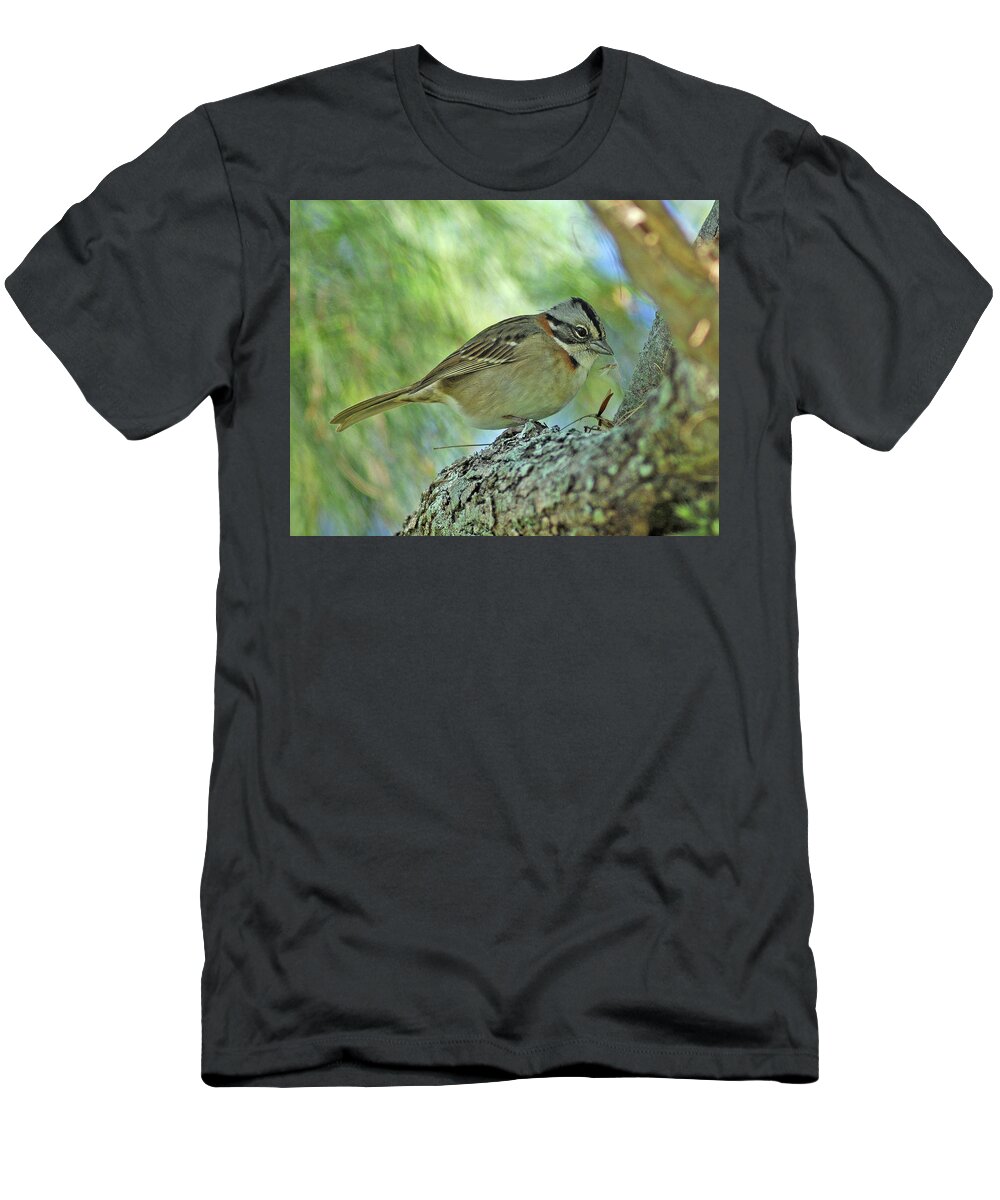 Estock T-Shirt featuring the digital art Bird On Tree Branch #2 by Heeb Photos