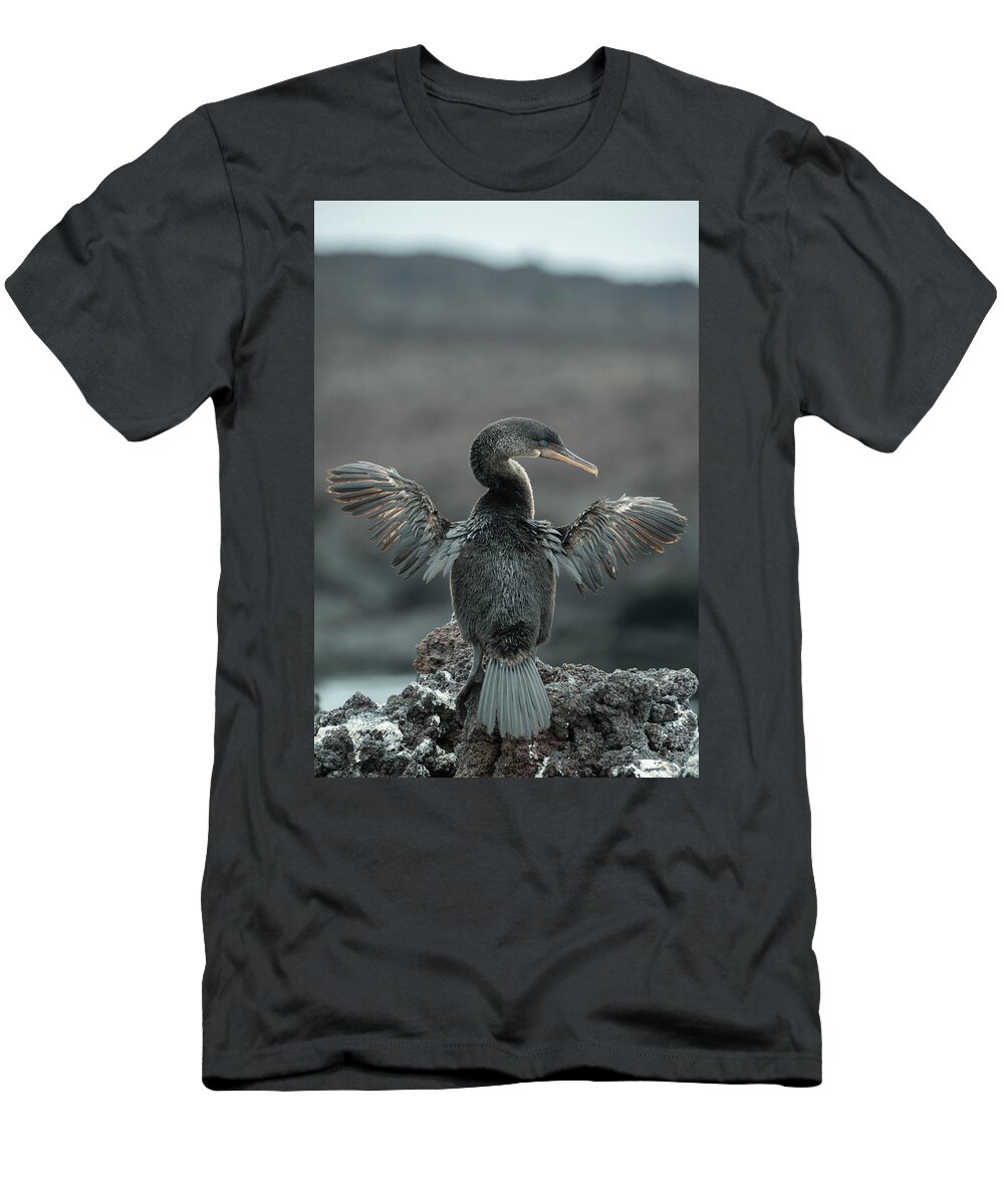 Animals T-Shirt featuring the photograph Flightless Cormorant Drying Wings #2 by Tui De Roy