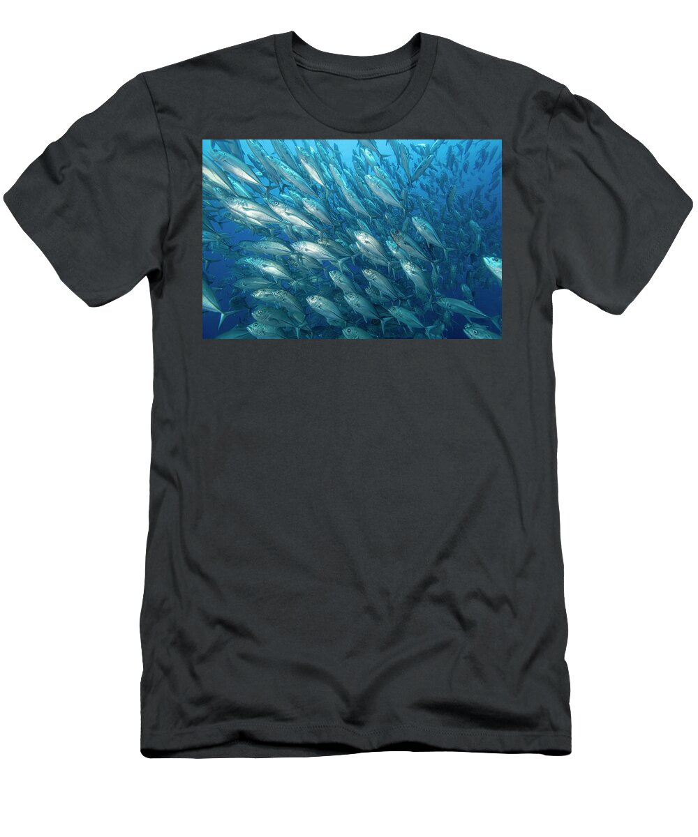 Anemone Shrimp T-Shirt featuring the photograph Giant Trevally #2 by Andrew Martinez