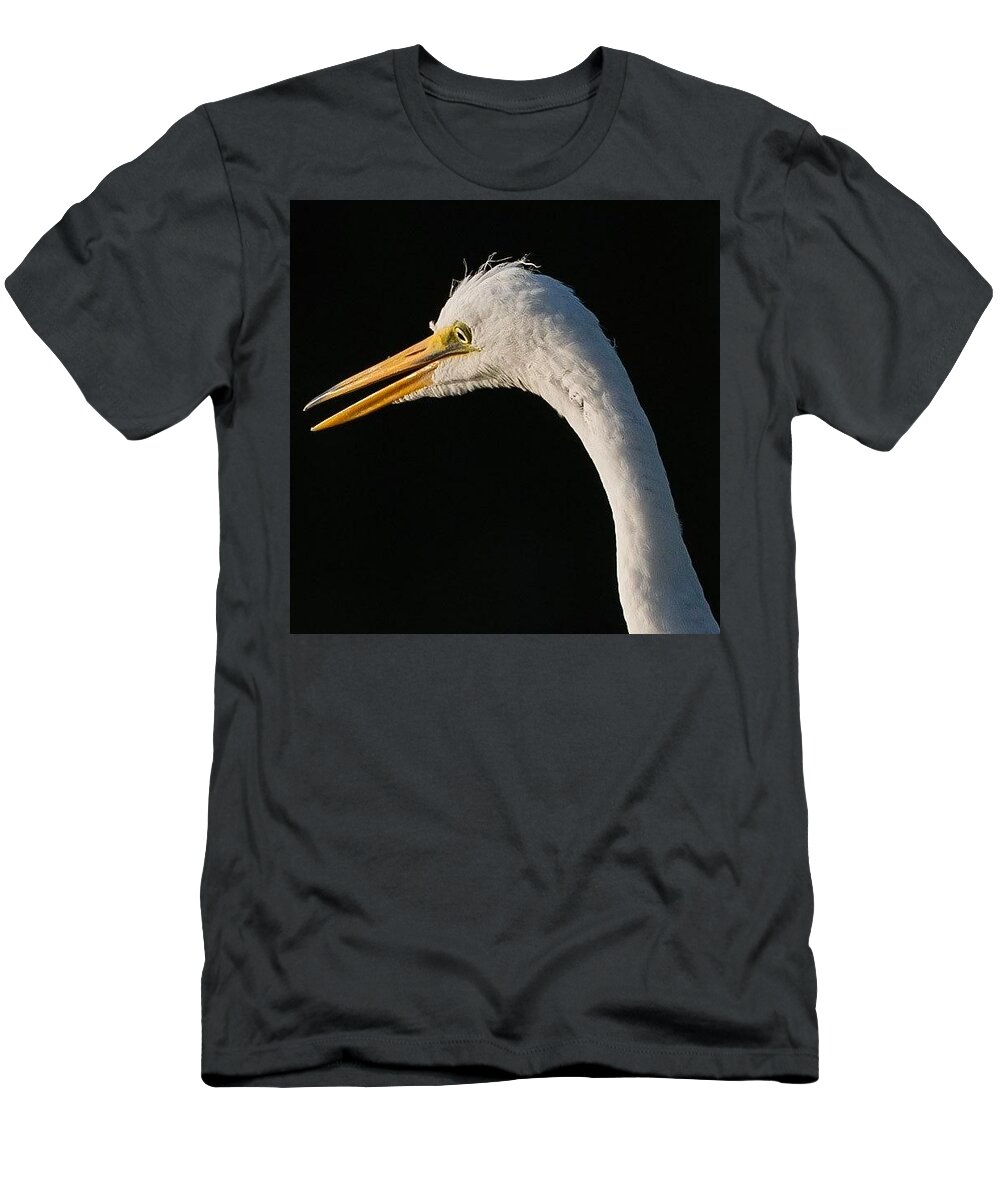  T-Shirt featuring the photograph Great White Egret #2 by Don Miller