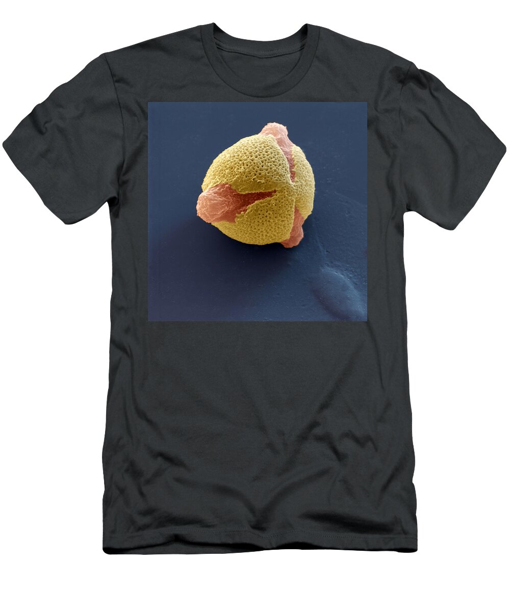 Allergen T-Shirt featuring the photograph Jasmine Jasminum Officinale Pollen #2 by Meckes/ottawa