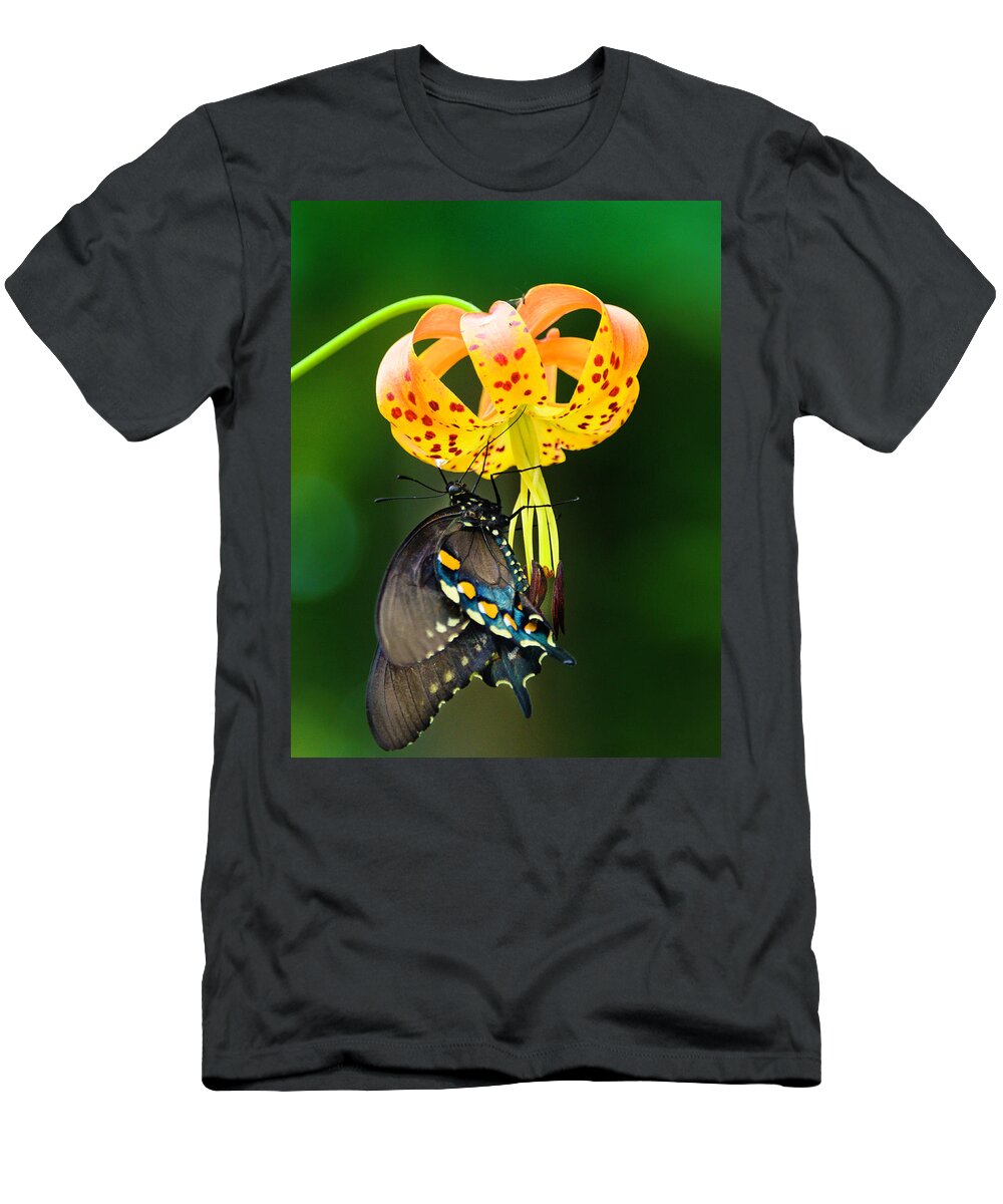 Africa T-Shirt featuring the photograph Swallowtail On Turks Cap by Donald Brown