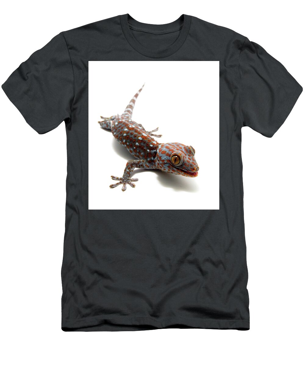 Lizard T-Shirt featuring the photograph Tokay Gecko #2 by Nathan Abbott