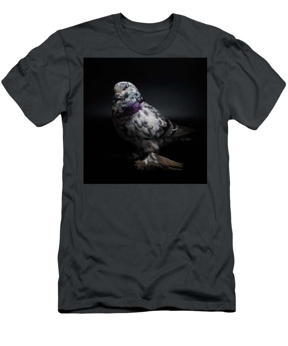 Pigeon T-Shirt featuring the photograph West of England Tumbler #2 by Nathan Abbott