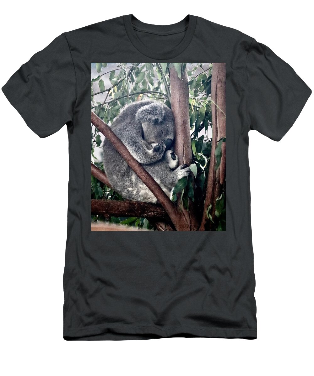 Koala T-Shirt featuring the photograph Koala #3 by Sarah Lilja