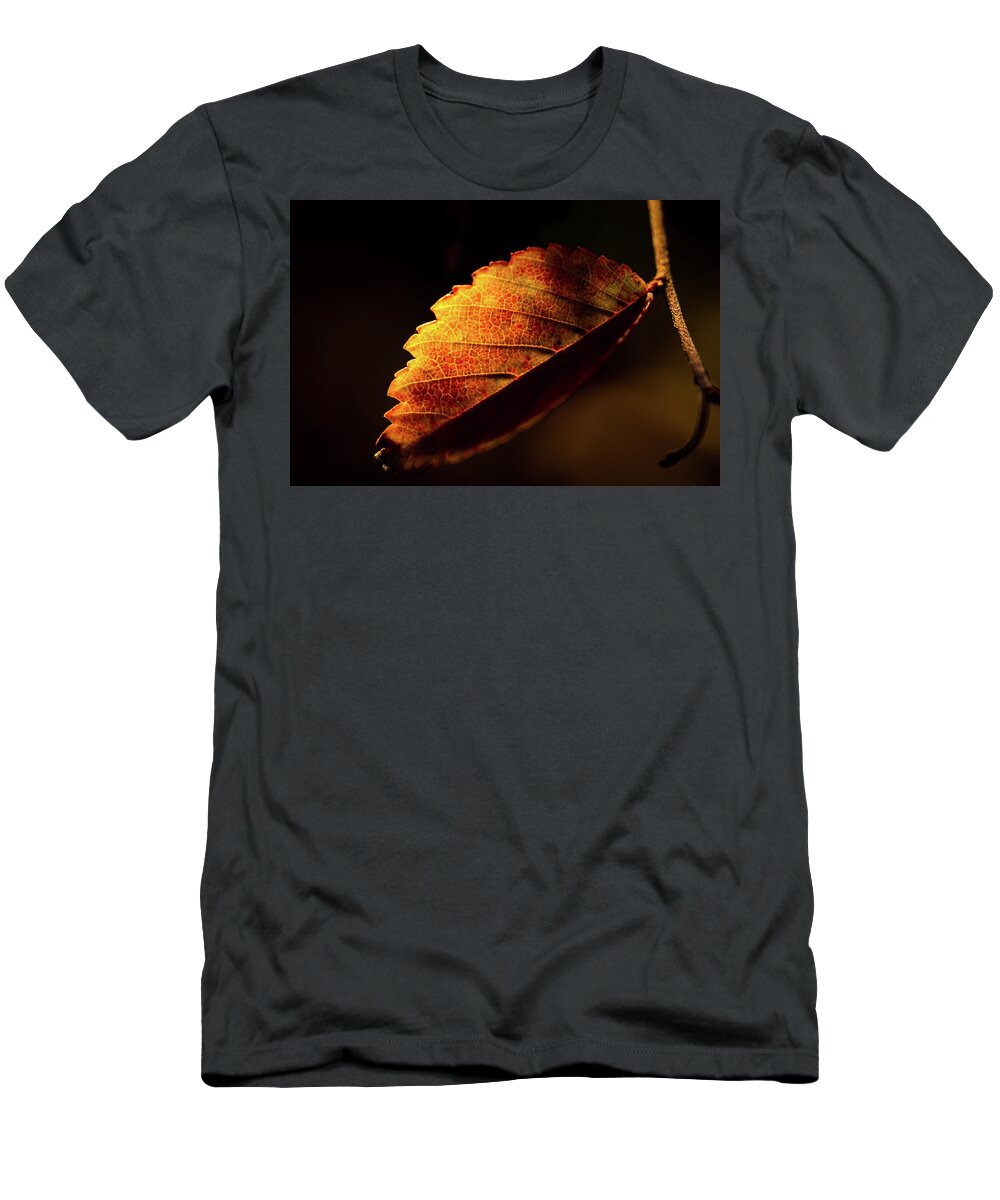Jay Stockhaus T-Shirt featuring the photograph Red and Yellow #3 by Jay Stockhaus