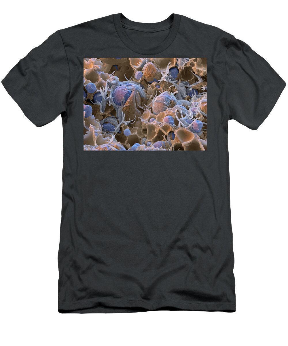Chemistry T-Shirt featuring the photograph Polyacrylic Acid Sem by Meckes/ottawa
