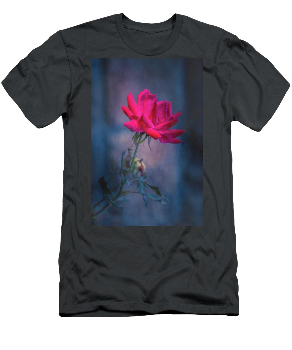Rose T-Shirt featuring the photograph Rose of Summer by Allin Sorenson