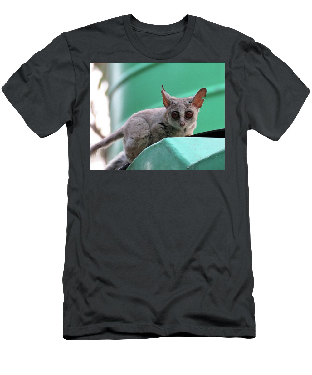 Africa T-Shirt featuring the photograph 55 by Eric Pengelly