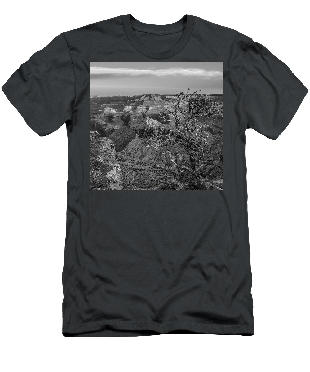 Disk1216 T-Shirt featuring the photograph South Rim, Grand Canyon #6 by Tim Fitzharris