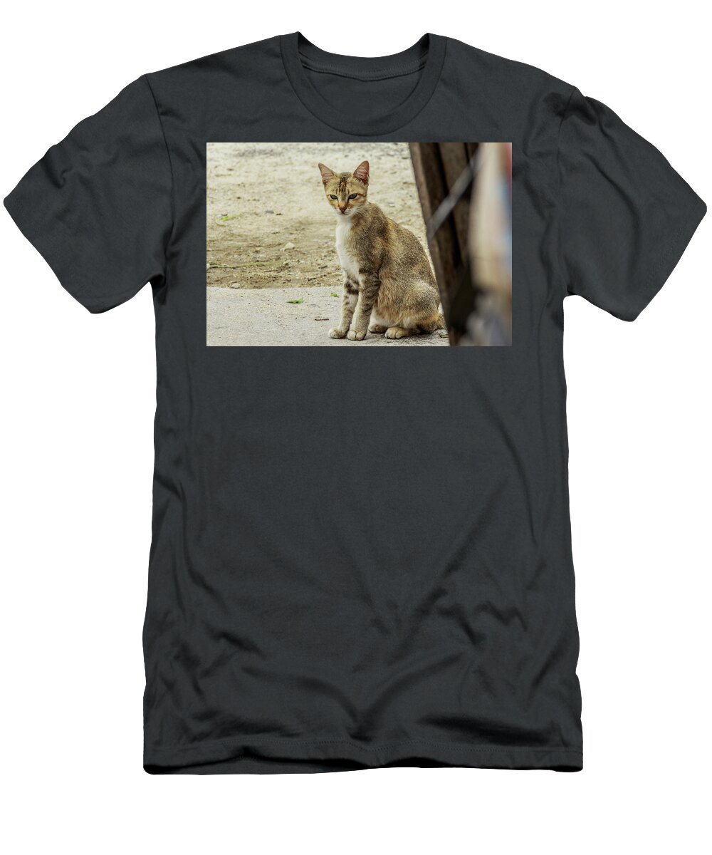  T-Shirt featuring the photograph A Beautiful Female Cat #9 by Mangge Totok