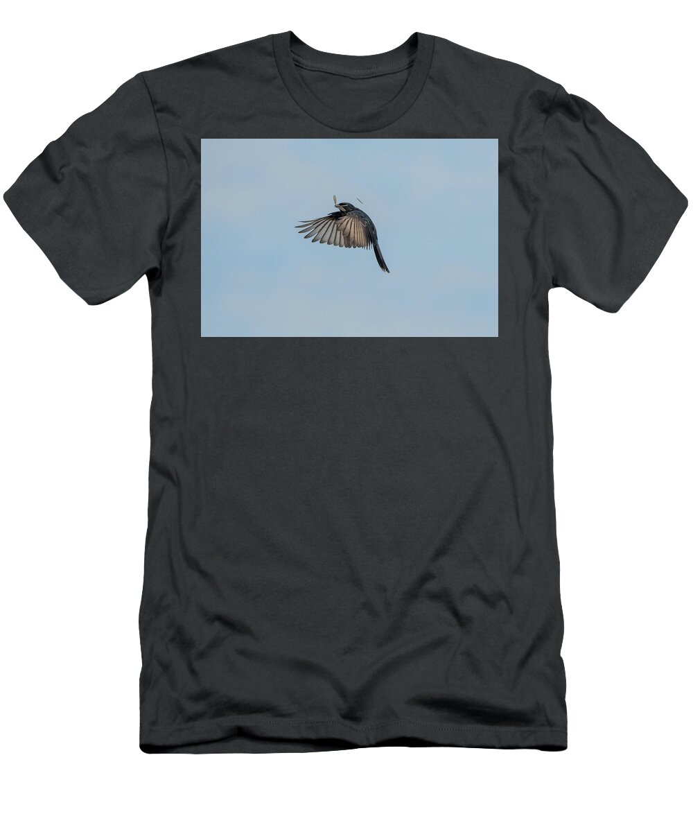 Drongo T-Shirt featuring the photograph A successful hunt by Mark Hunter