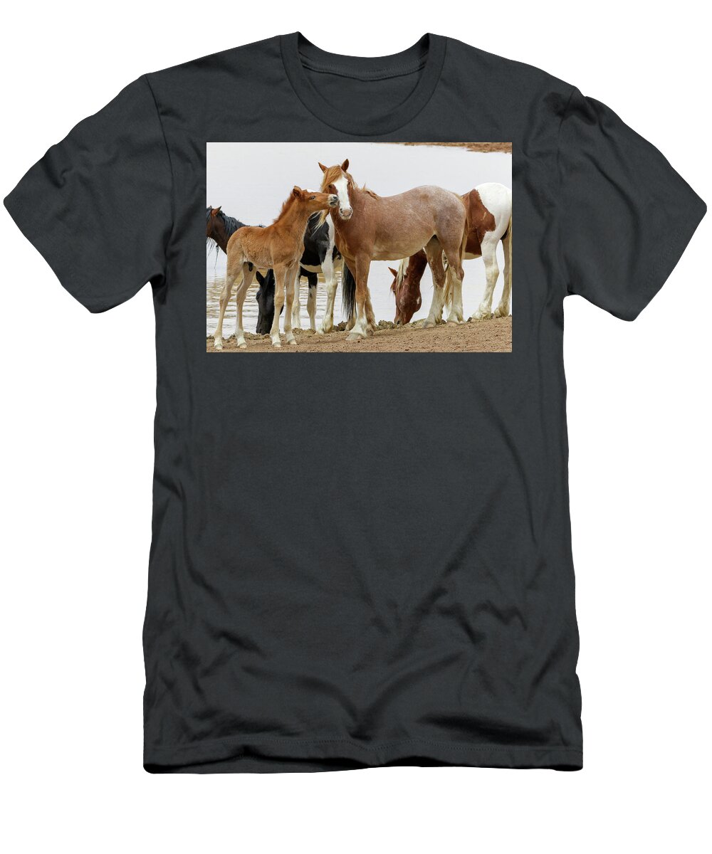 Colt T-Shirt featuring the photograph Affection Time by Ronnie And Frances Howard