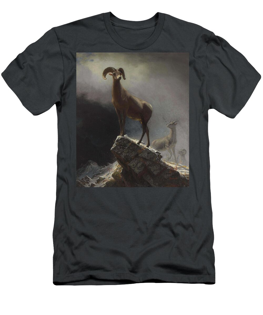 Sheep T-Shirt featuring the painting Albert_Bierstadt_-_Rocky_Mountain_Sheep_or_Big_Horn,_Ovis,_Montana by Albert Bierstadt