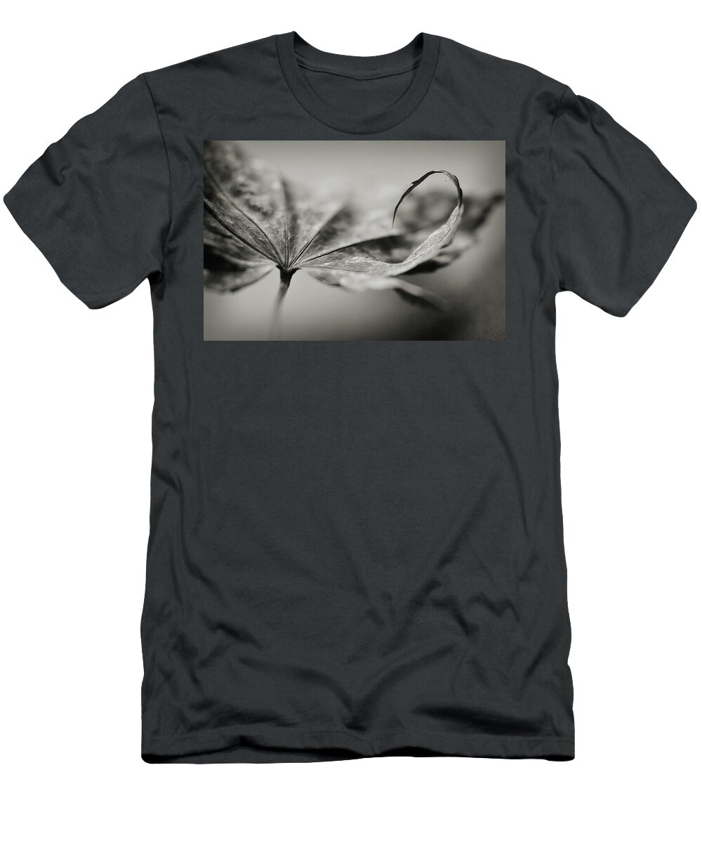 Black And White T-Shirt featuring the photograph All In by Michelle Wermuth