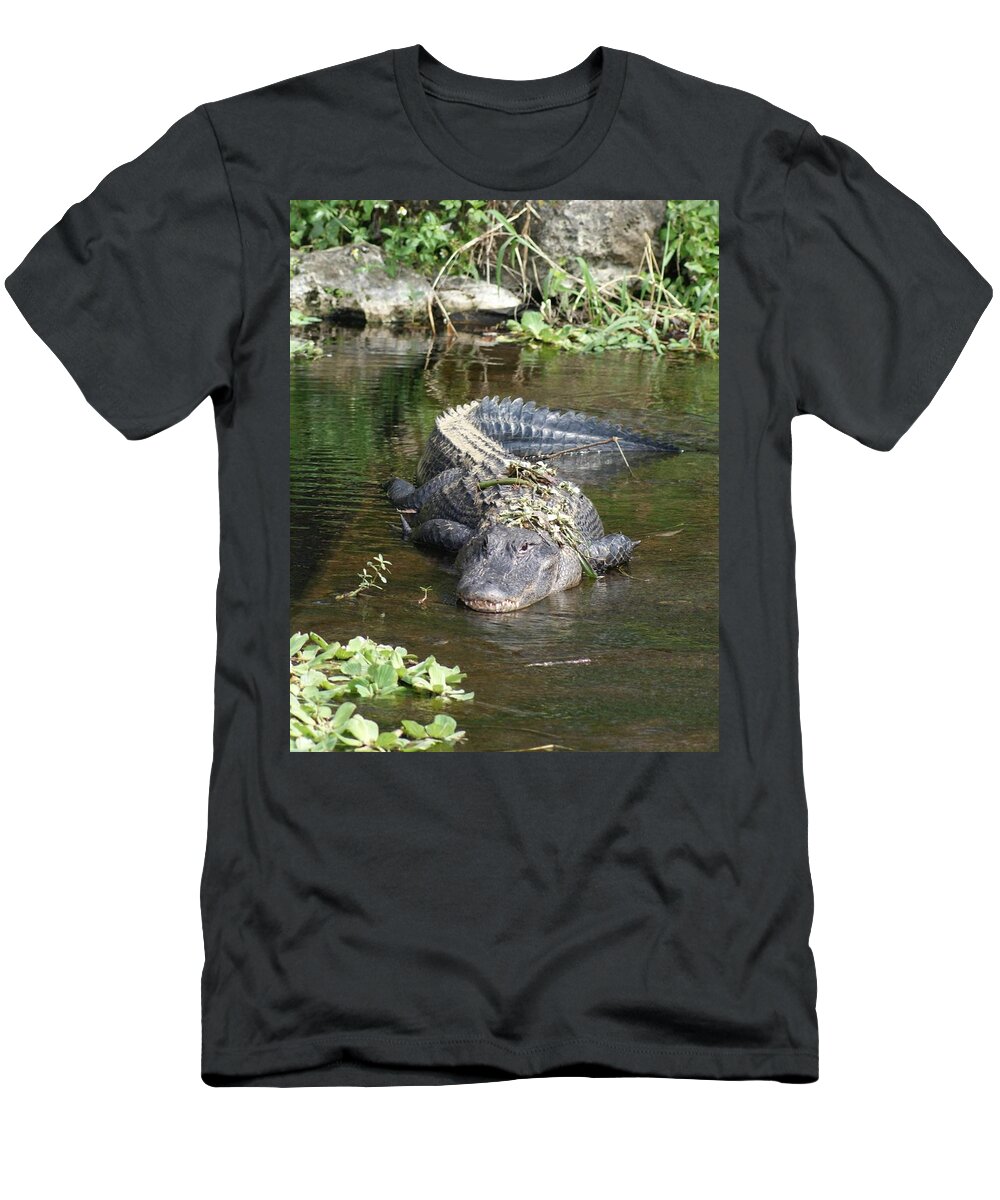 Florida T-Shirt featuring the photograph Alligator Day Spa by Lindsey Floyd