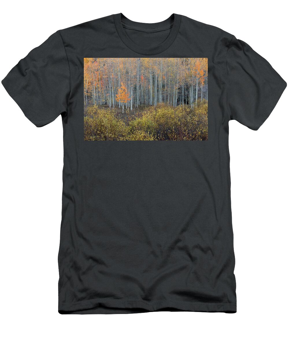 Colorado T-Shirt featuring the photograph Alone in the Crowd by Angela Moyer