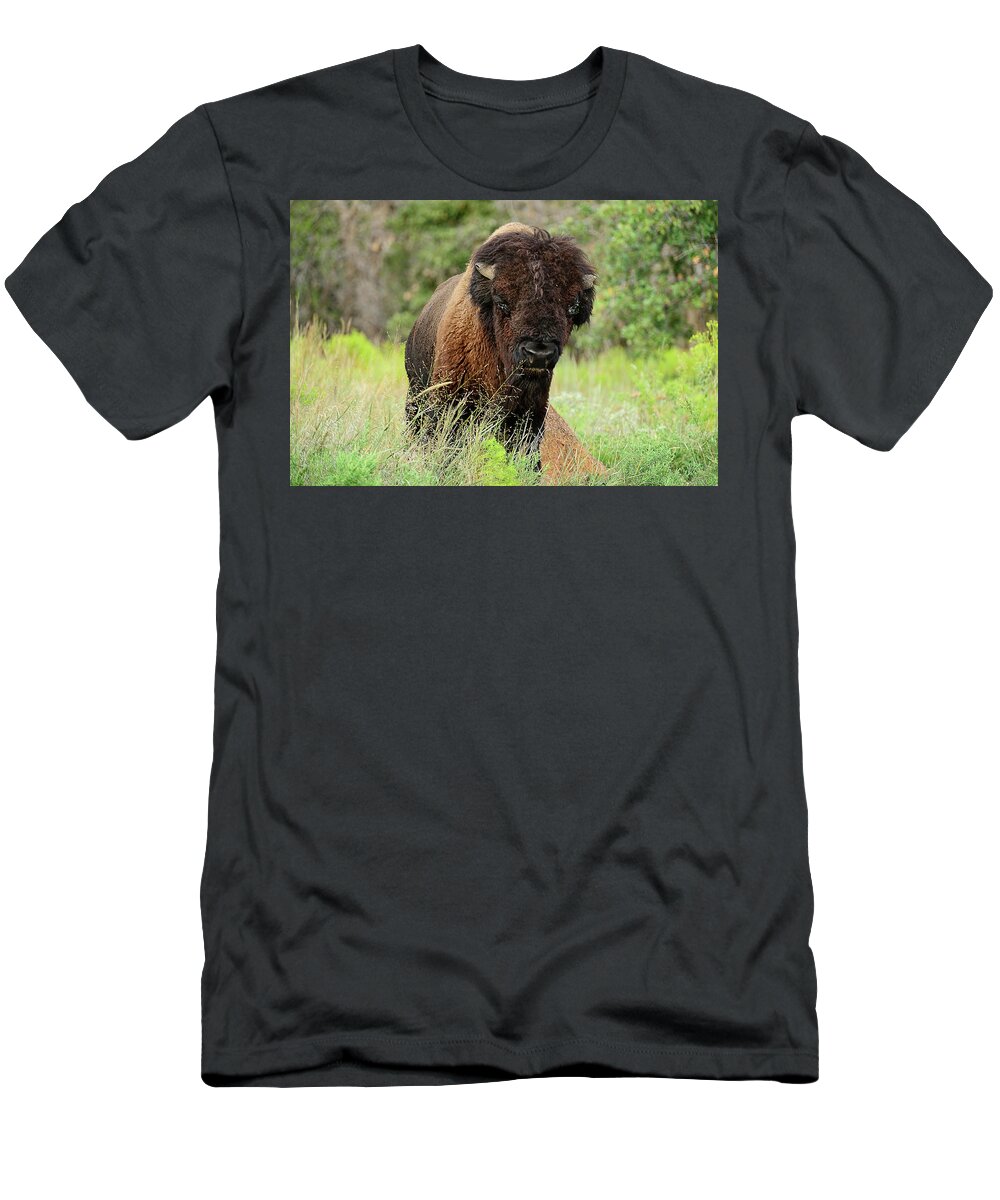 Estock T-Shirt featuring the digital art American Bison by Heeb Photos