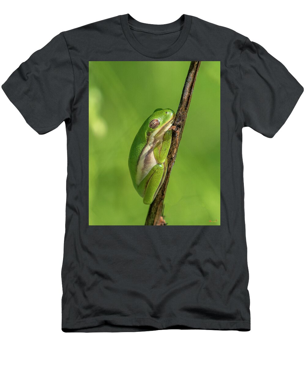 Nature T-Shirt featuring the photograph American Green Tree Frog DAR034 by Gerry Gantt