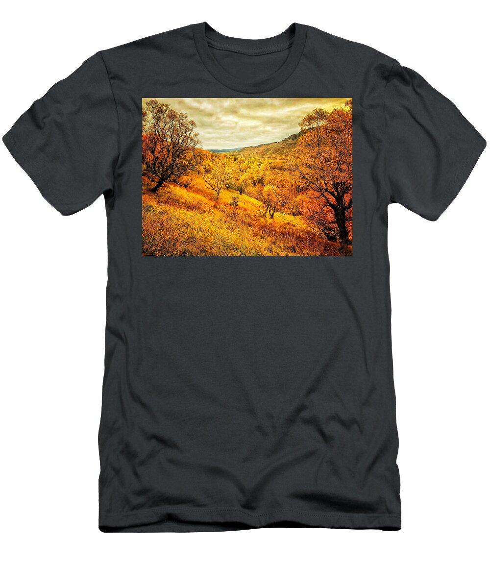 Autumn T-Shirt featuring the photograph Ancient Autumn by Mark Egerton