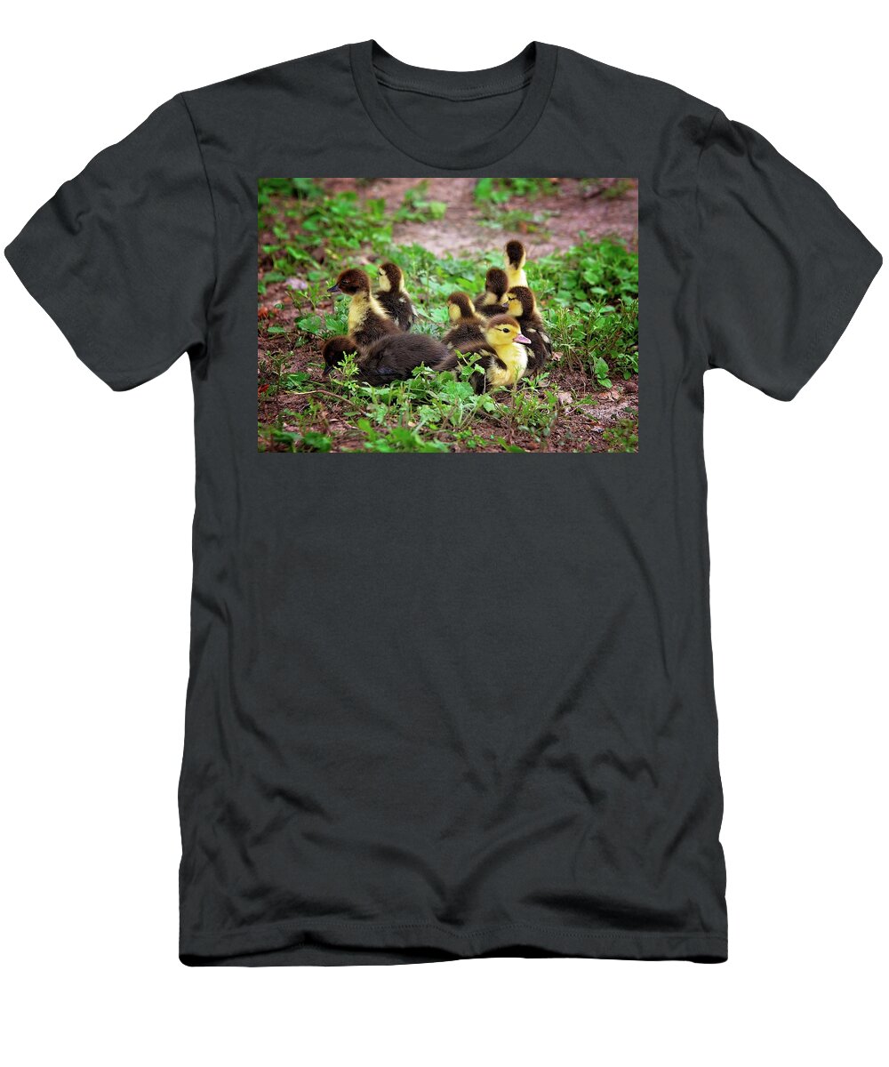 Ducklings T-Shirt featuring the photograph Animal Kwakers by Lynn Bauer