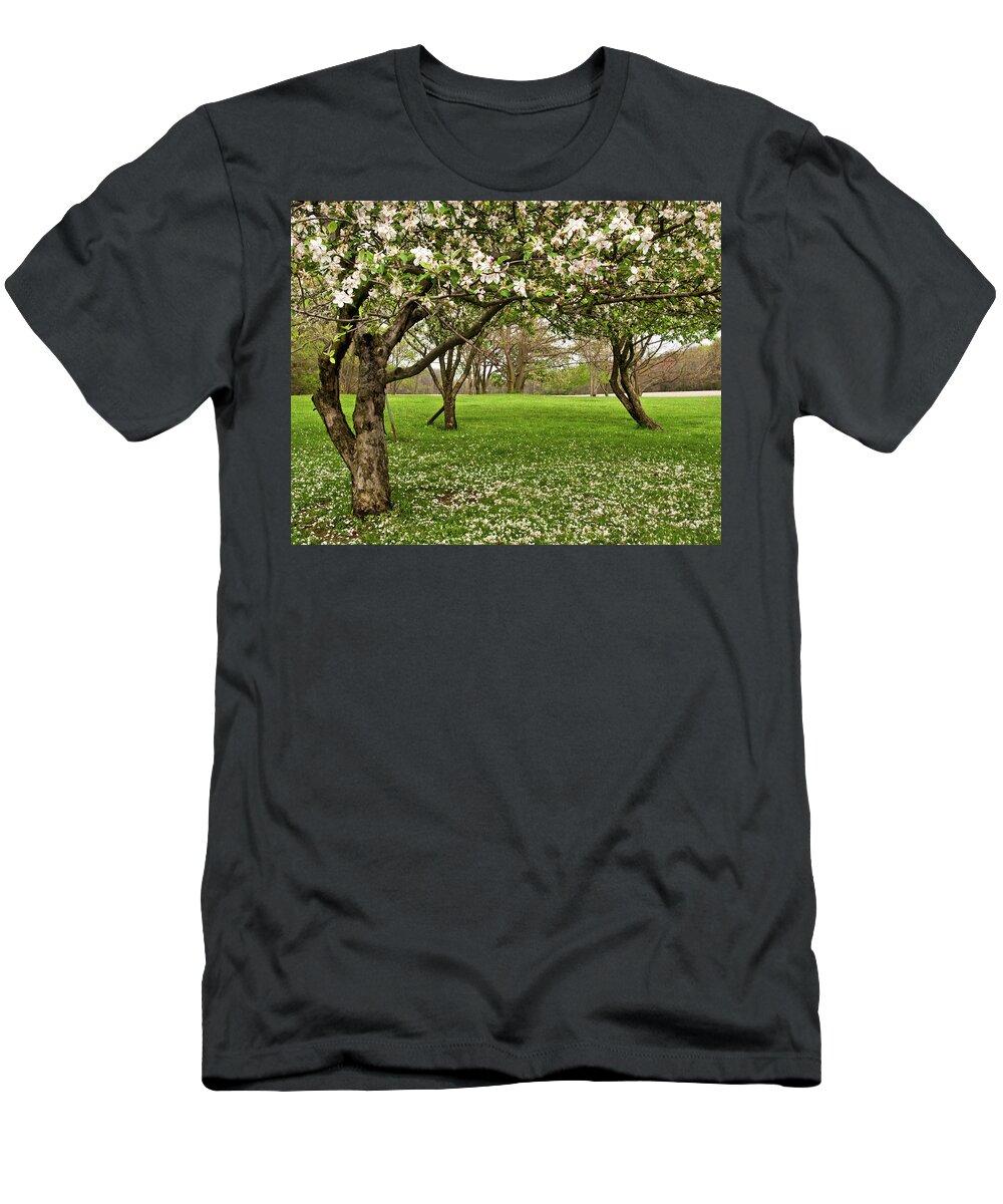 Spring T-Shirt featuring the photograph Apple Orchard by Minnie Gallman