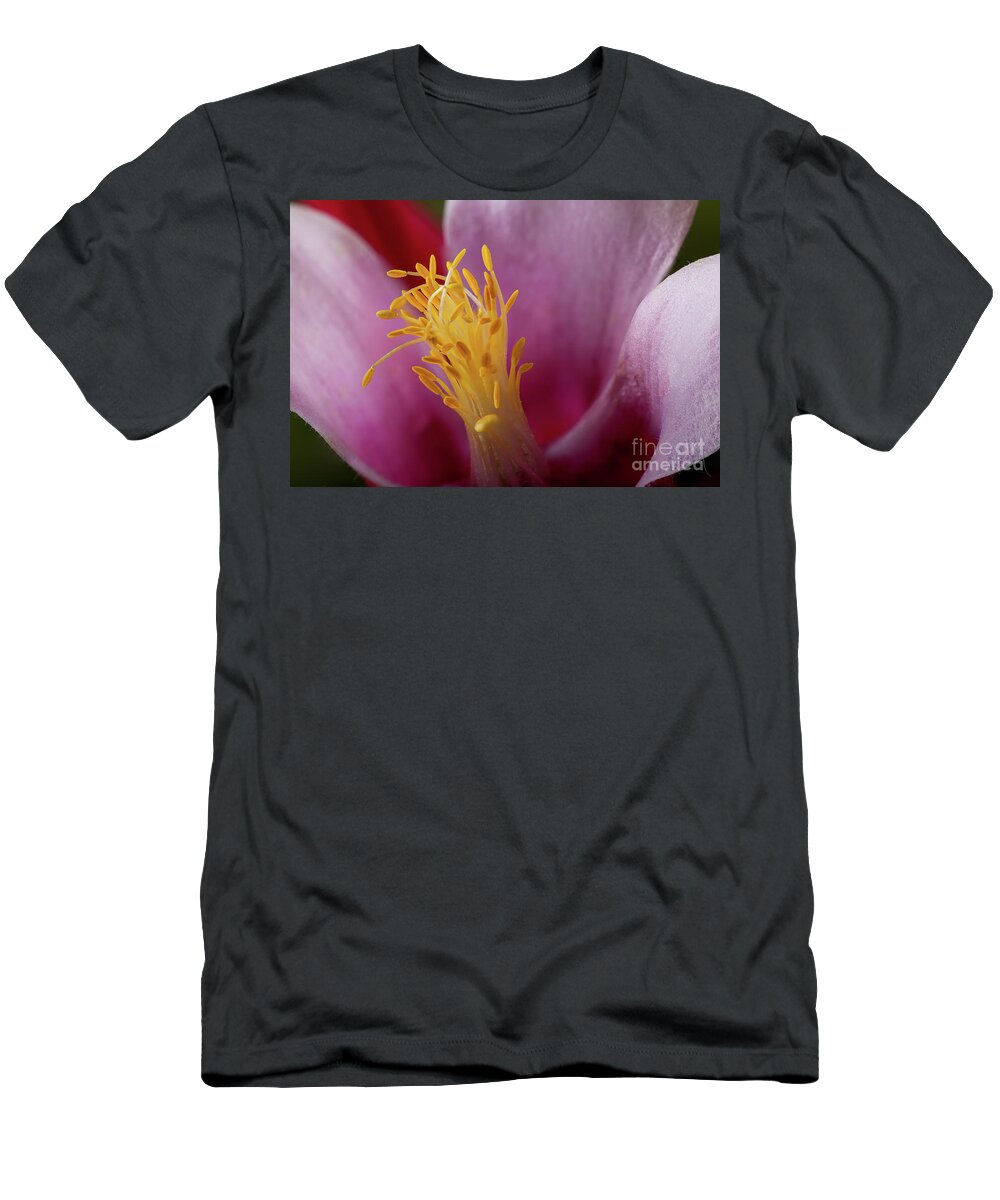 Flower T-Shirt featuring the photograph Aquilegia flower stamen super macro closeup by Simon Bratt