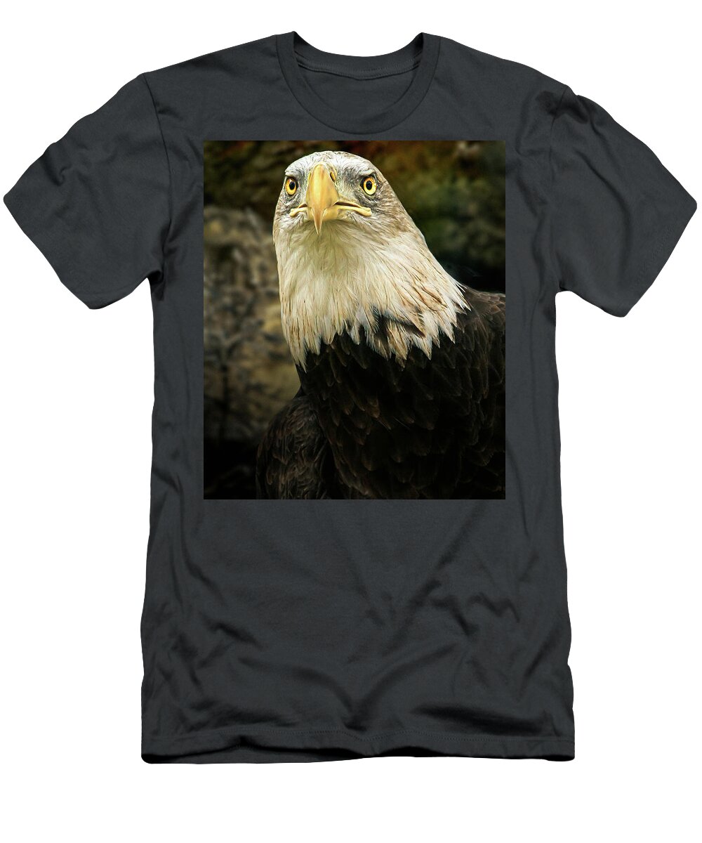 Eagle T-Shirt featuring the photograph Winter Eagle by Bob Orsillo