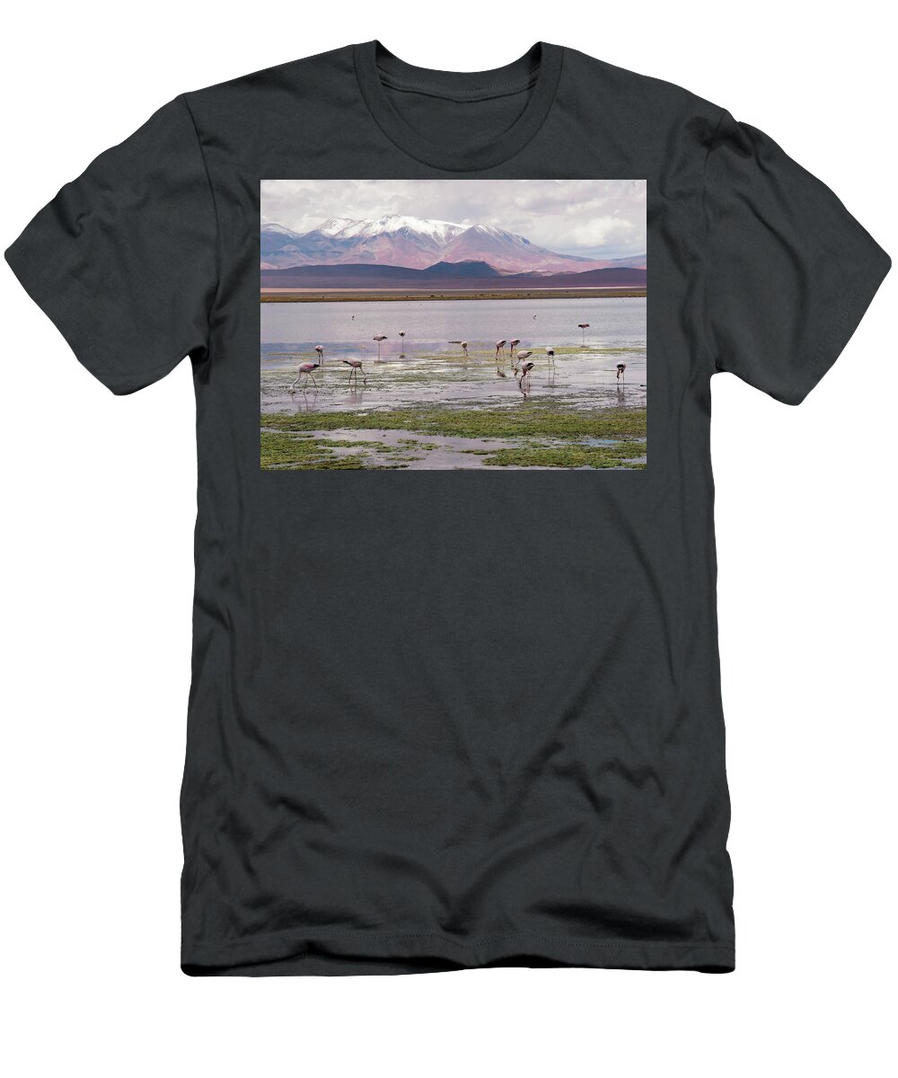Atacama T-Shirt featuring the photograph Atacoma landscape by Minnie Gallman