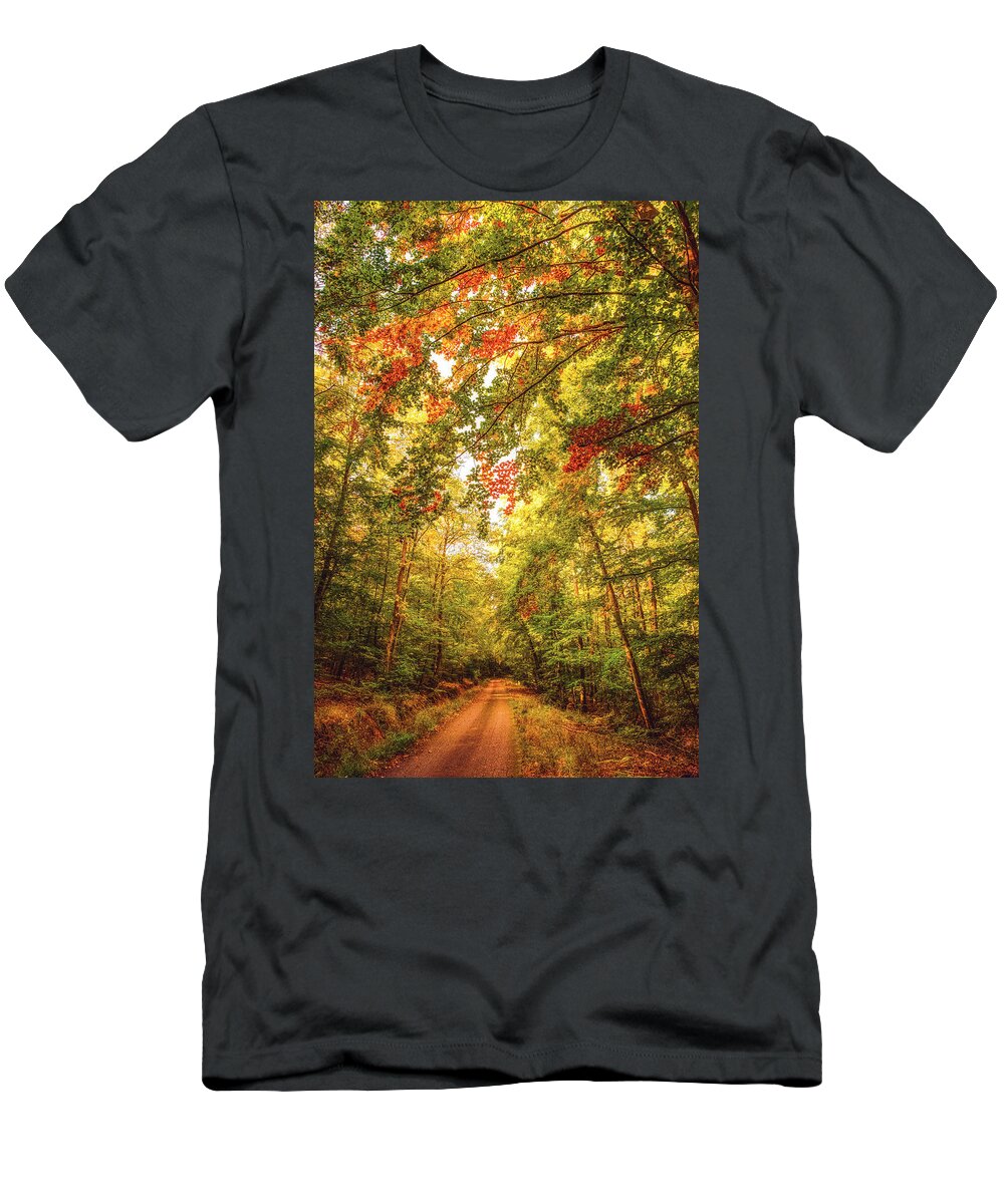 Autumn T-Shirt featuring the photograph Autumn Colorful Path by Philippe Sainte-Laudy
