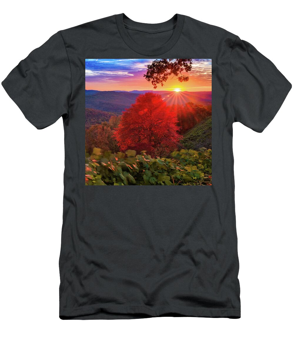 America T-Shirt featuring the photograph Autumn Splendor at Artist Point - Mountainburg Arkansas by Gregory Ballos