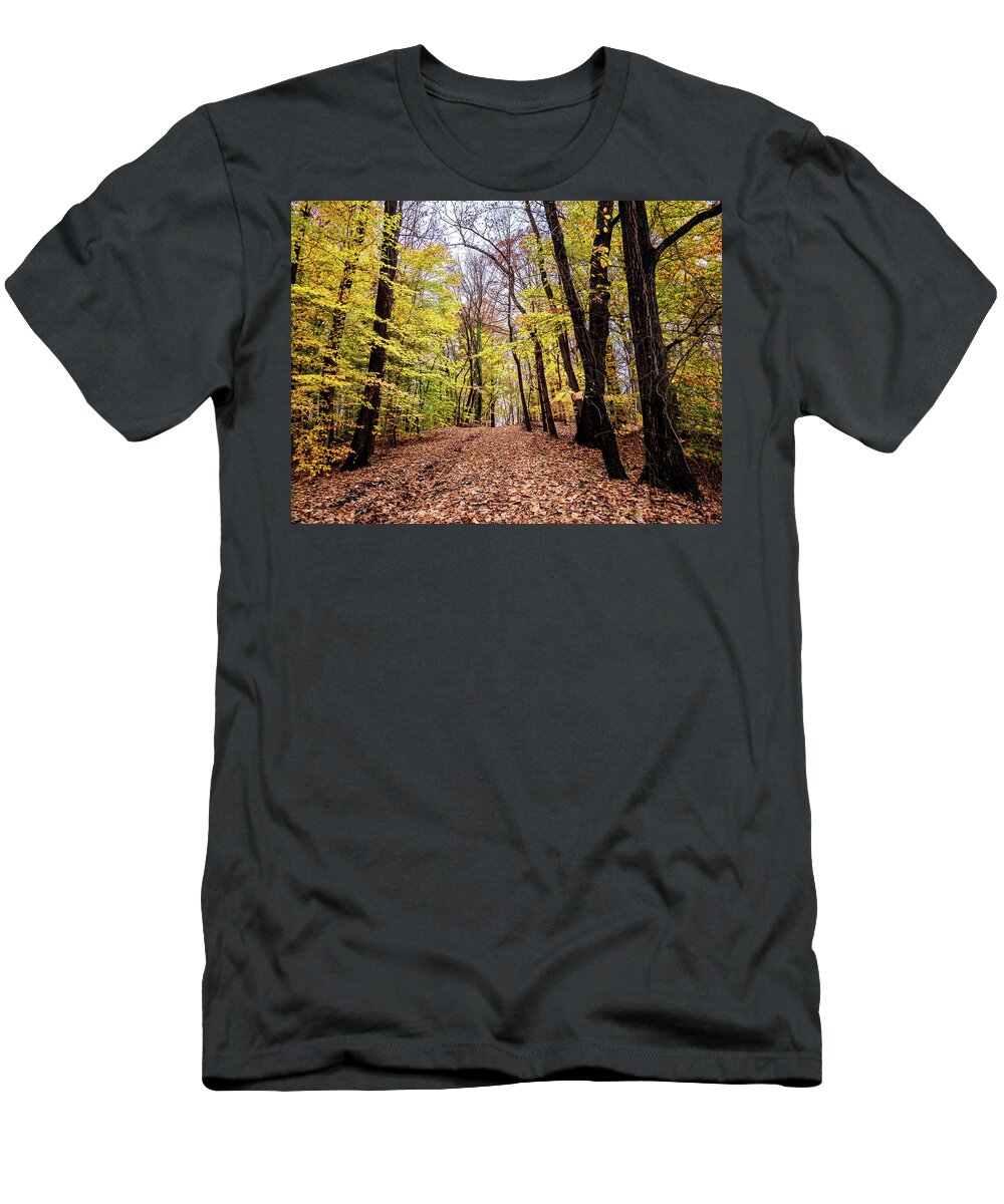 Fall T-Shirt featuring the photograph Autumn Woods by Louis Dallara