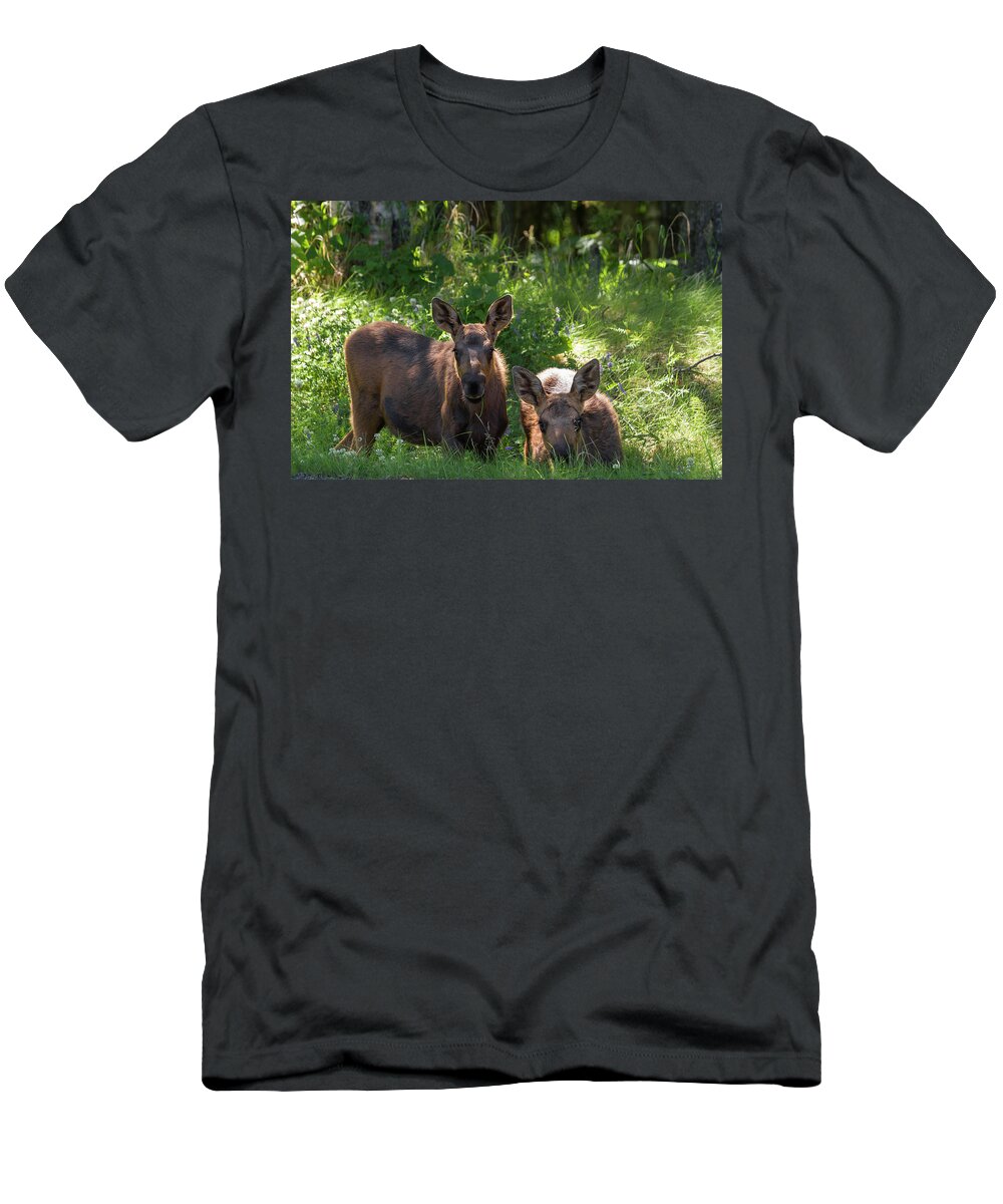 Alaska T-Shirt featuring the photograph Baby Moose in Woods by Scott Slone