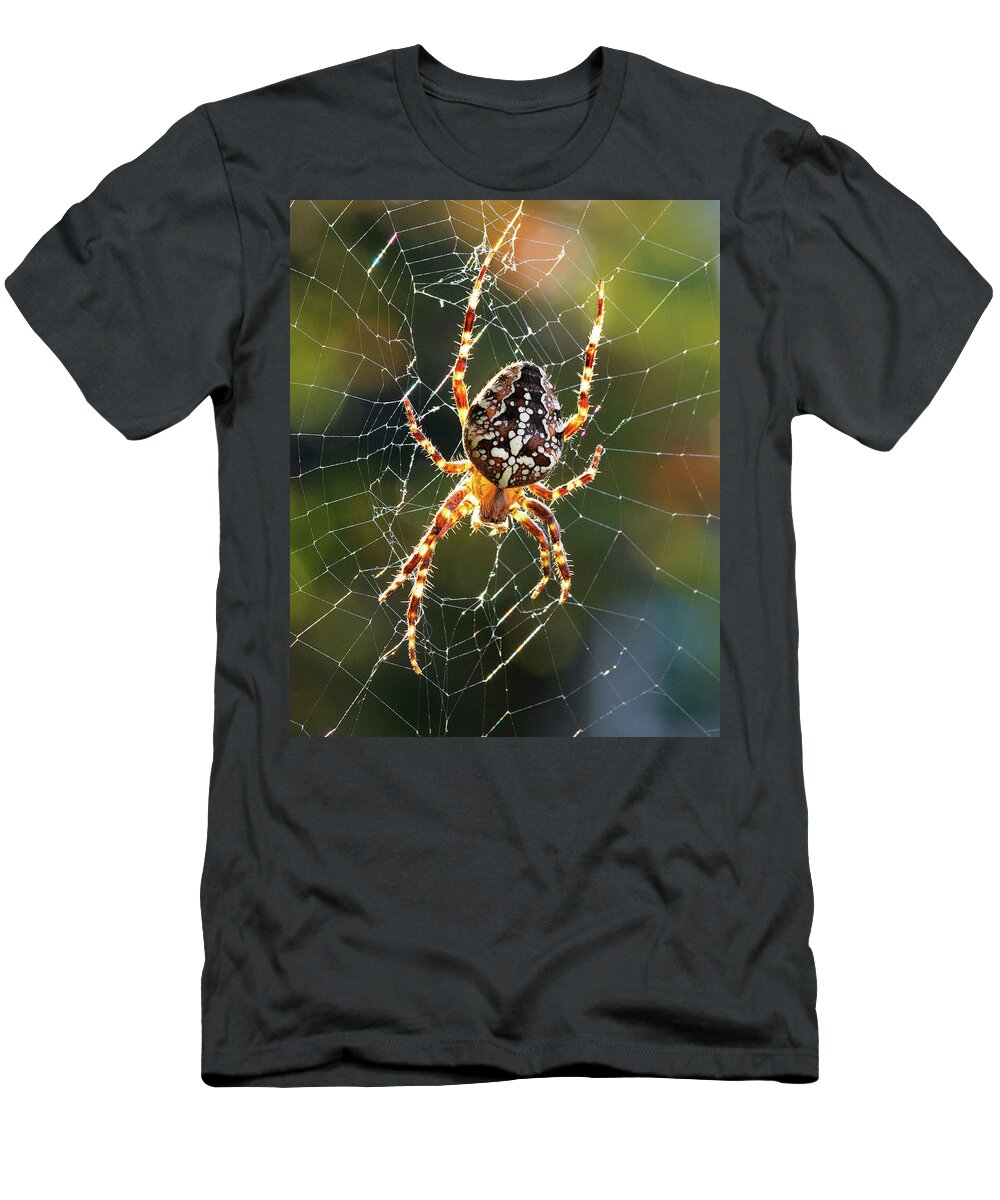 Spider T-Shirt featuring the photograph Backyard Spider by Patrick Campbell