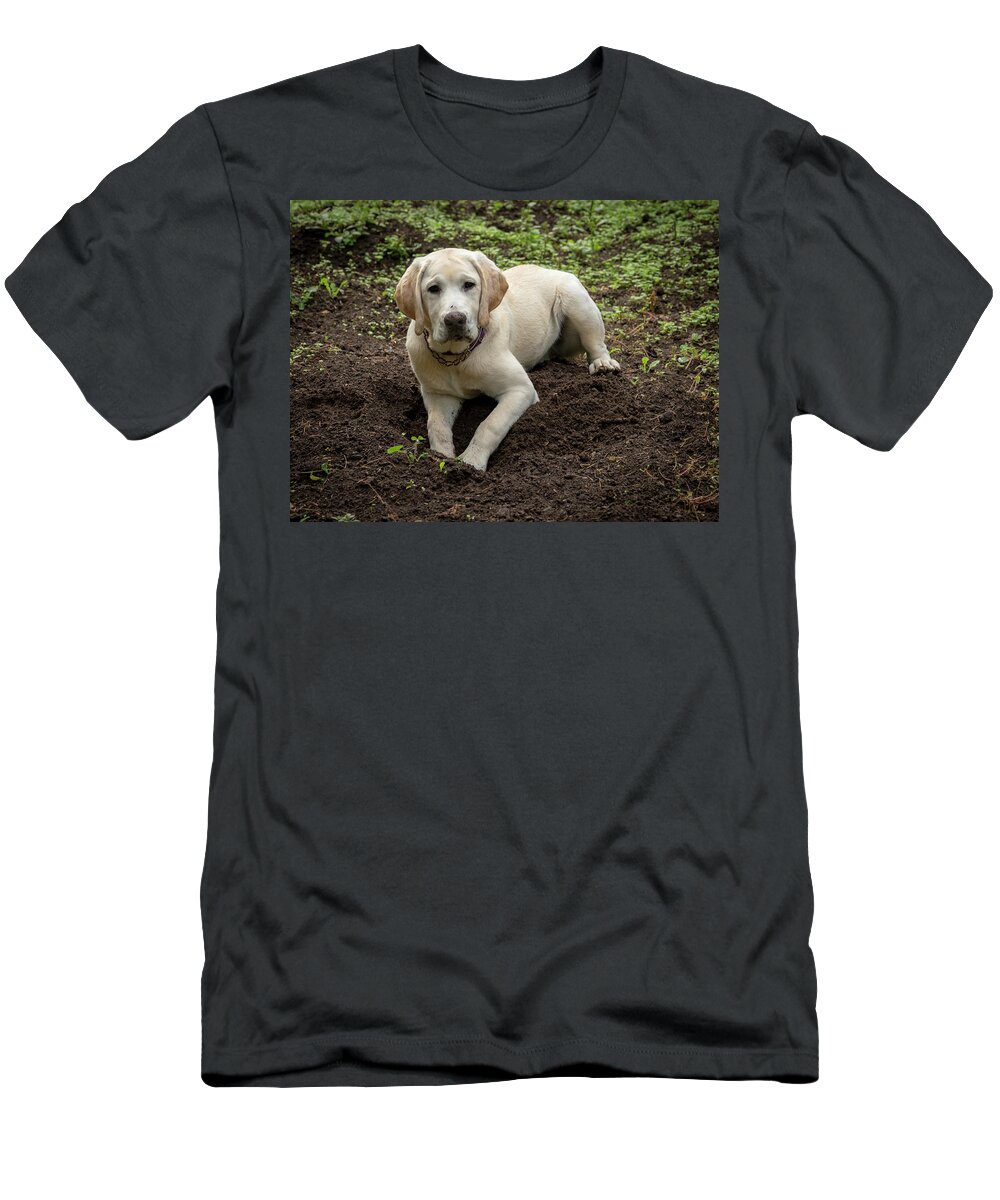Bad Dog T-Shirt featuring the photograph Bad Dog by Jean Noren