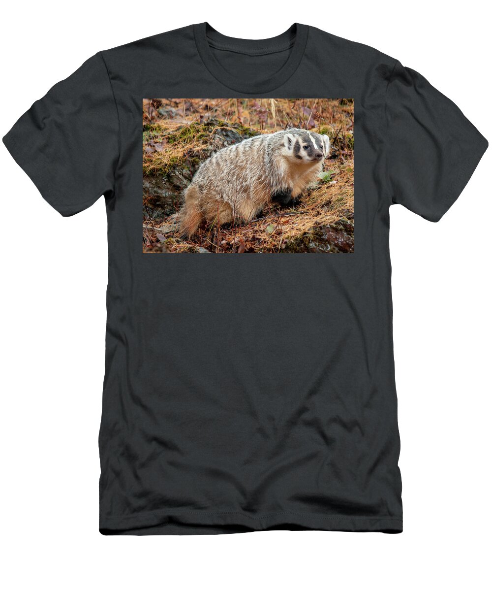 Adult T-Shirt featuring the photograph Badger 3453 by TL Wilson Photography by Teresa Wilson