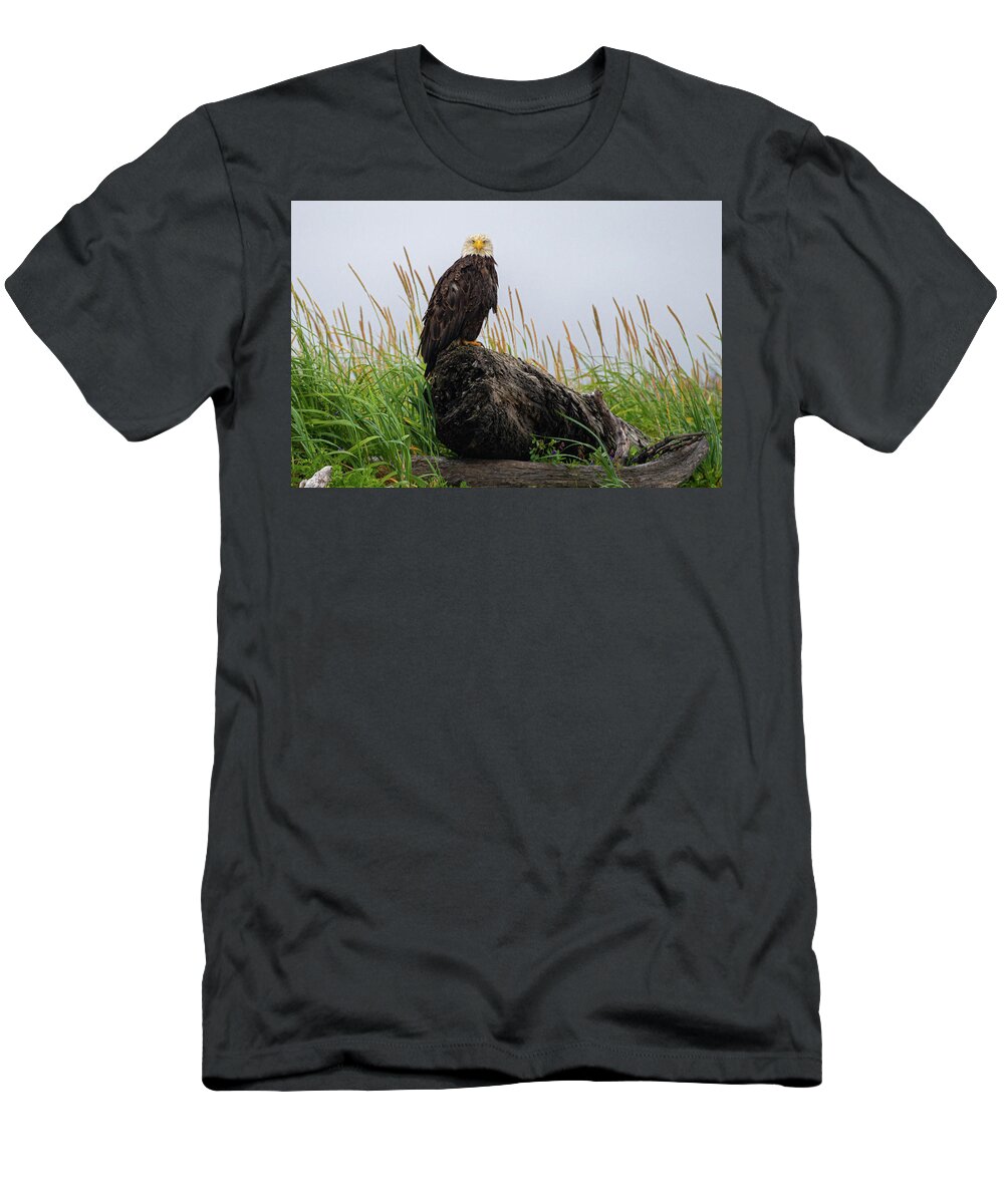 Bald Eagle T-Shirt featuring the photograph Bald Eagle in Katmai NP by Mark Hunter