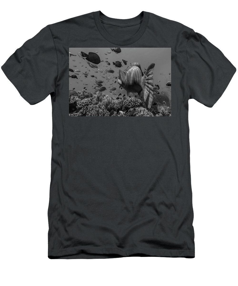 Disk1215 T-Shirt featuring the photograph Balicasag Island Fish Philippines by Tim Fitzharris