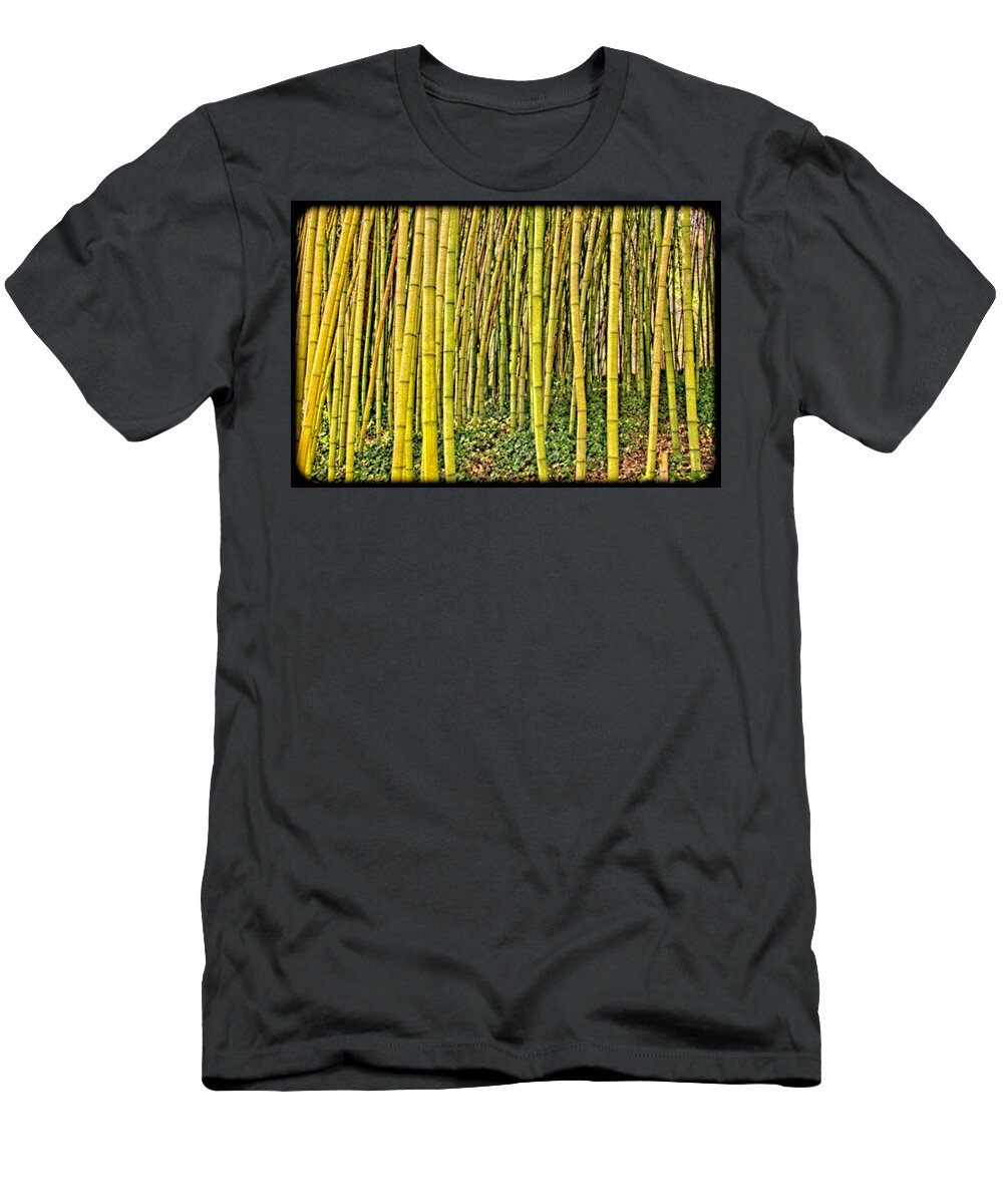 Bamboo T-Shirt featuring the photograph Bamboo by Allen Nice-Webb