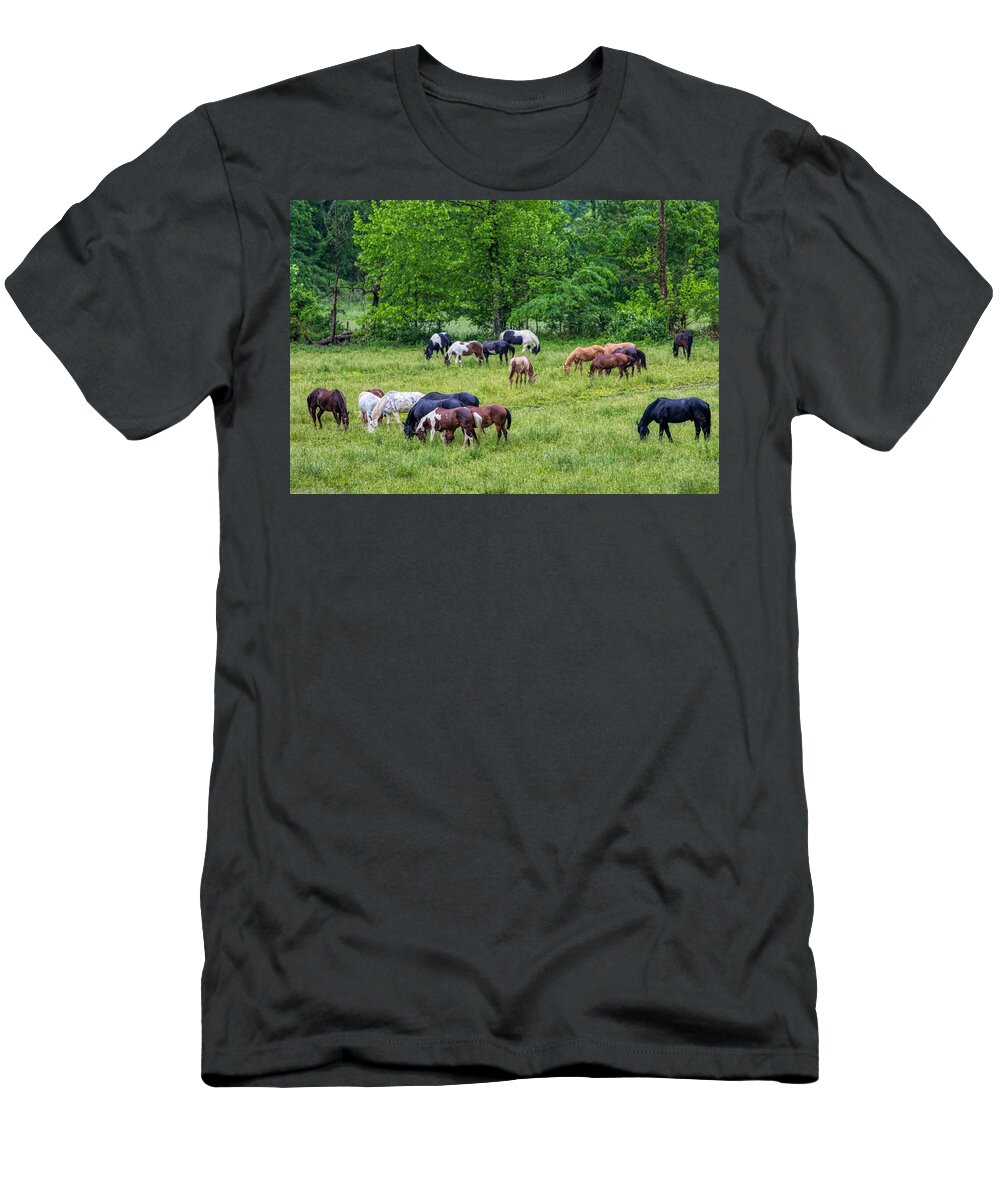 Horses T-Shirt featuring the photograph Band of Horses by Dana Foreman