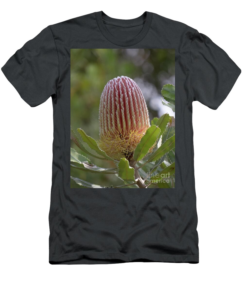 Flower T-Shirt featuring the photograph Banskia Flower by Christy Garavetto
