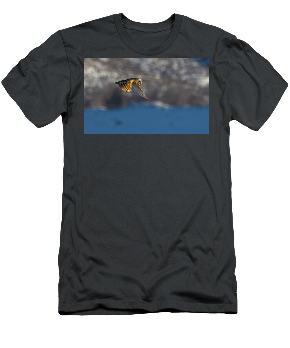 Barn Owl T-Shirt featuring the photograph Barn Owl in Flight 4 by Rick Mosher