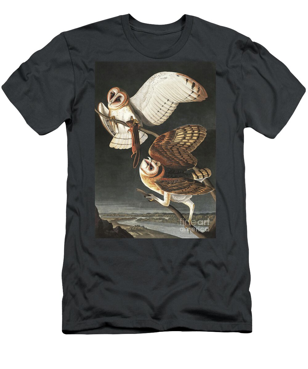 Barn Owls T-Shirt featuring the painting Barn Owl, Tyto Alba by Audubon by John James Audubon