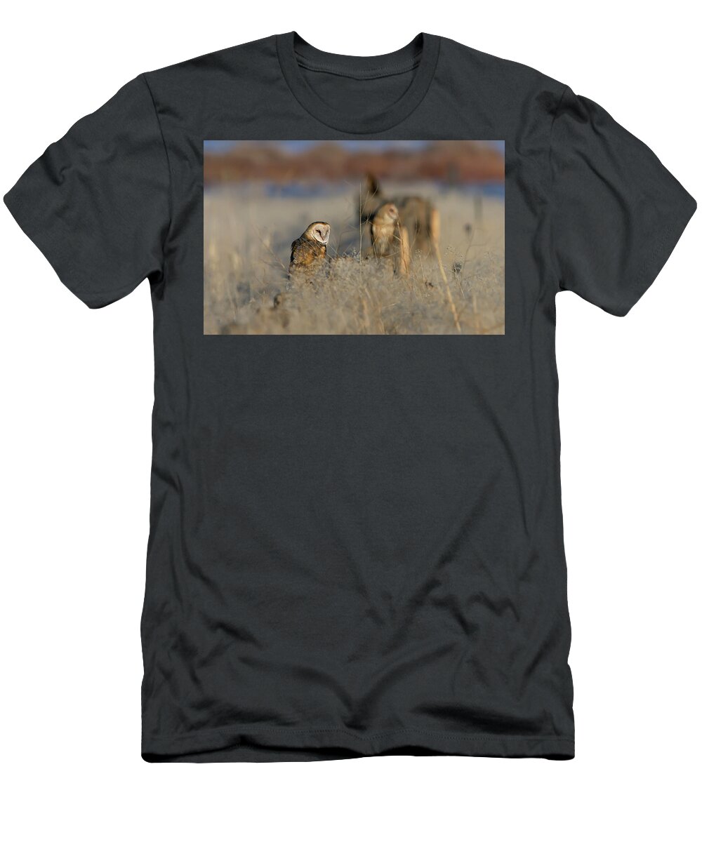 Barn Owl T-Shirt featuring the photograph Barn Owls 9 by Rick Mosher