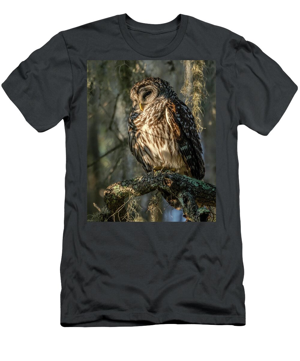 Barred Owl T-Shirt featuring the photograph Barred by David Kulp