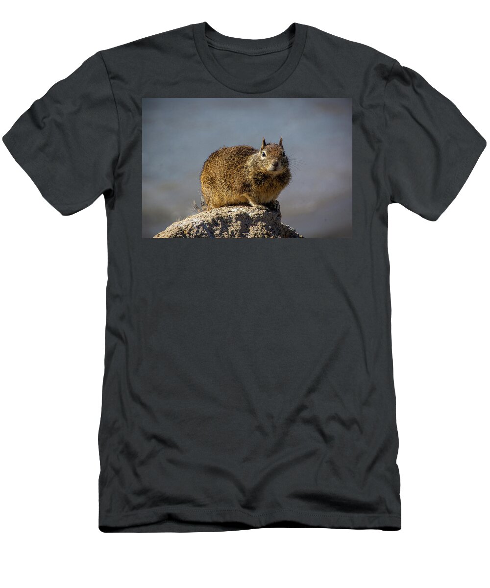 Beach Squirrel T-Shirt featuring the photograph Beach Squirrel by Donald Pash